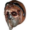 Zombie pilot