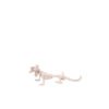 Lizard Skeleton