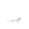 Lizard Skeleton