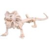 Lizard Skeleton