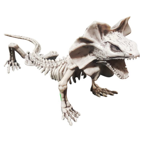 Lizard Skeleton