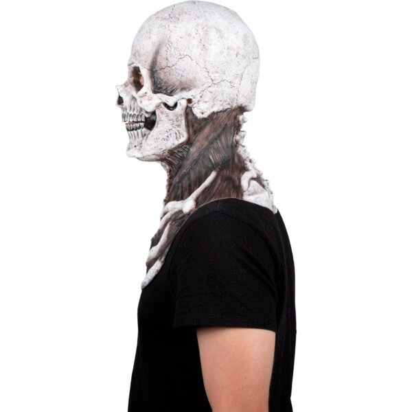 Mr. Bones