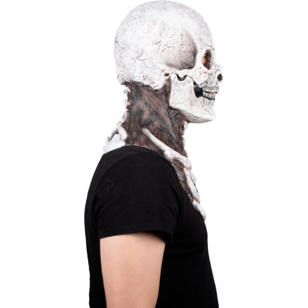 Mr. Bones