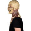 Mr. Bones Tan