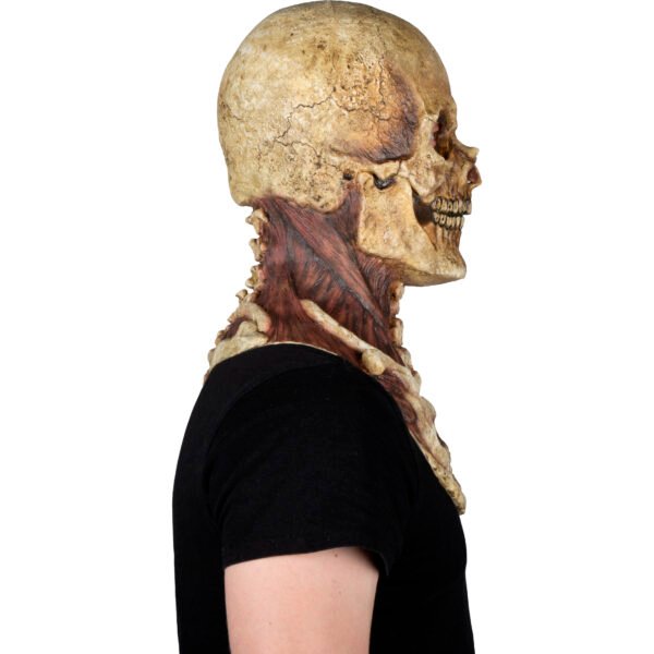 Mr. Bones Tan