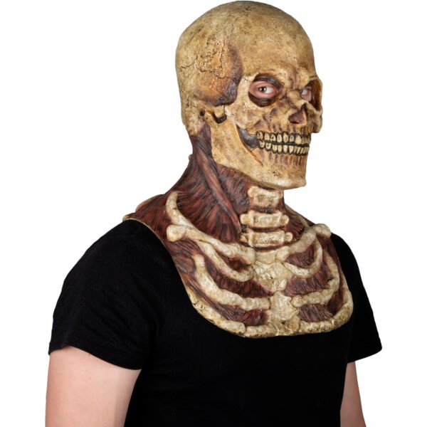 Mr. Bones Tan